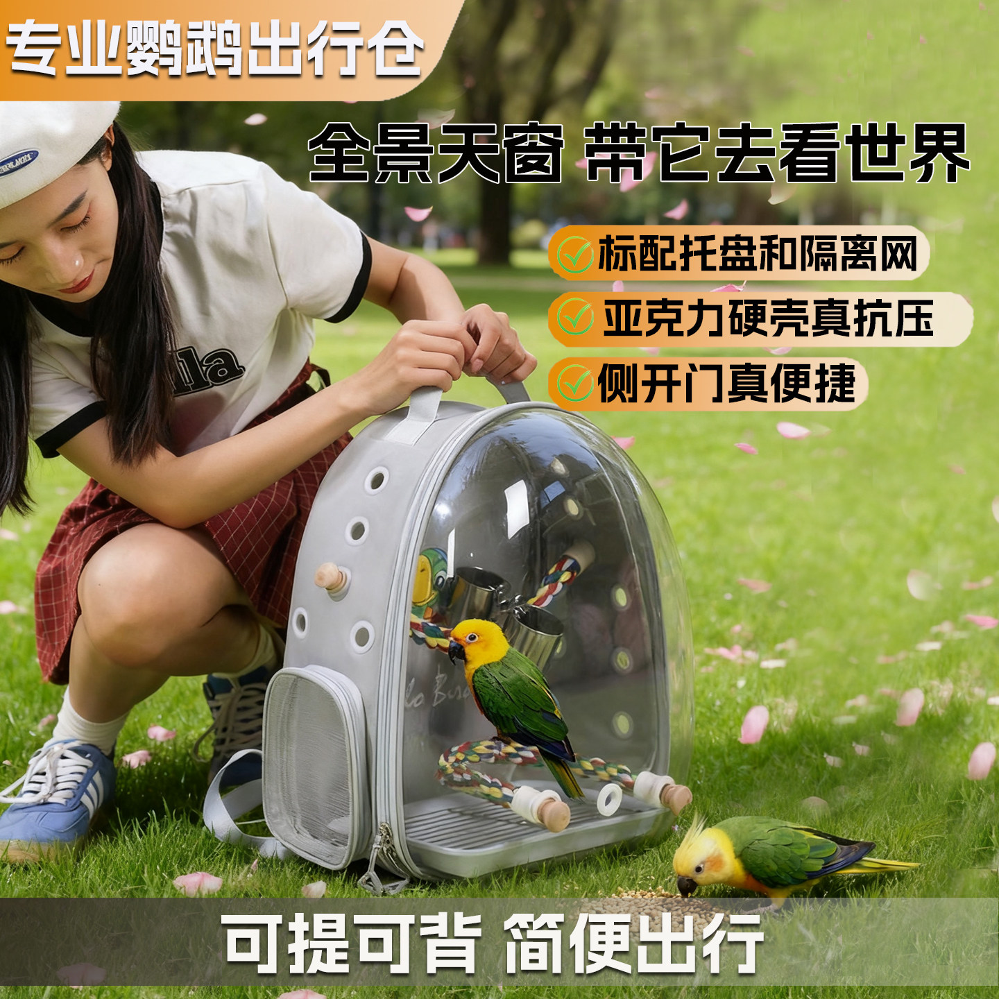 带宠物怎么出门 带宠物出去玩怎么住