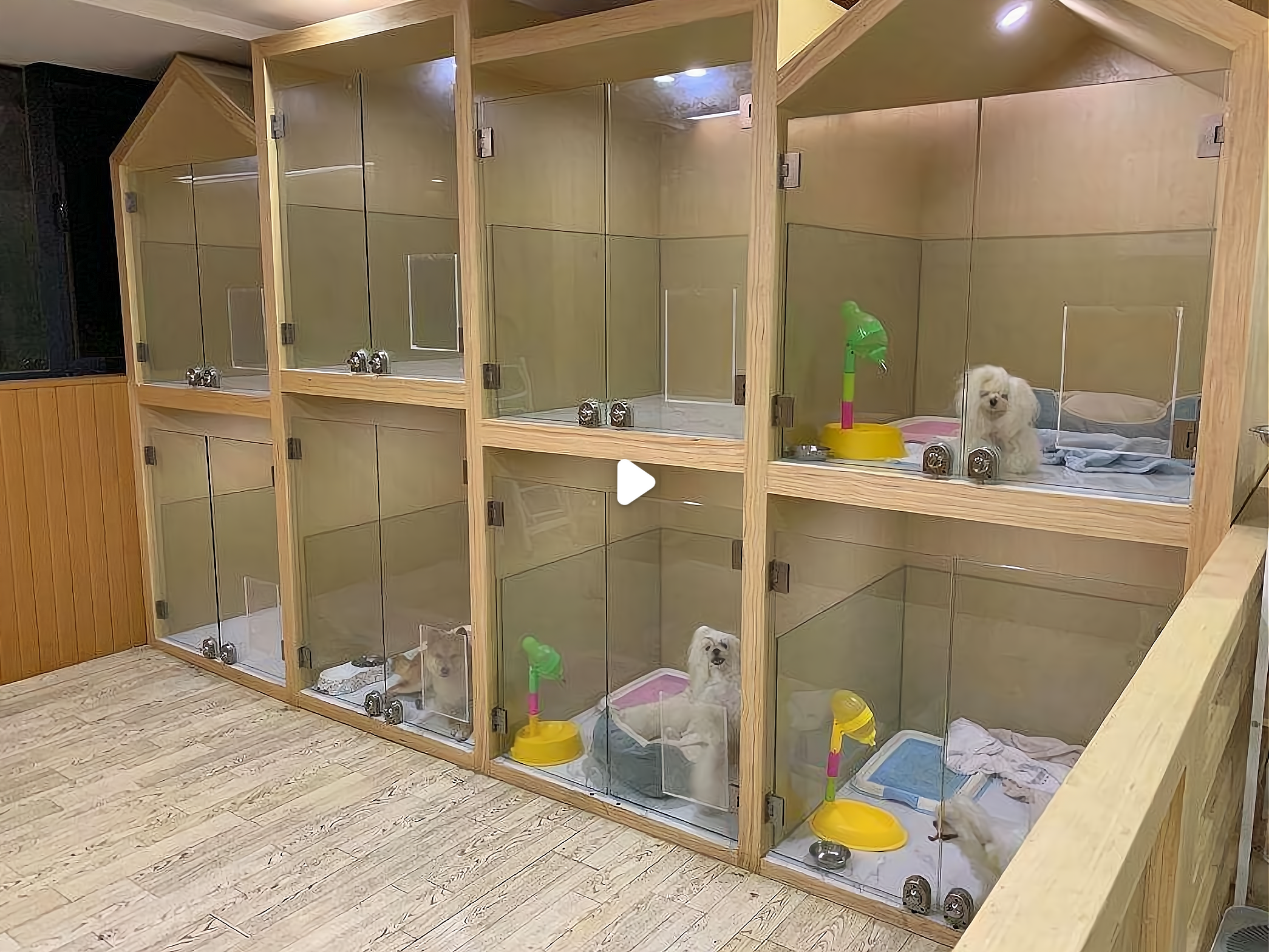 宠物家怎么样 宠物家加盟费多少钱啊