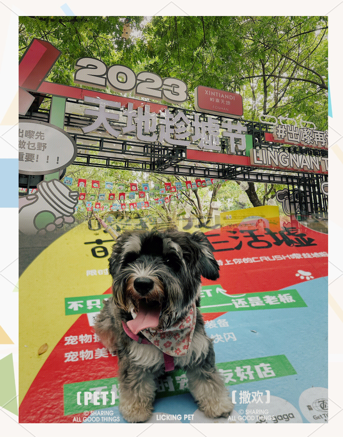 2017沈阳宠物节 2021宠物猫展会沈阳