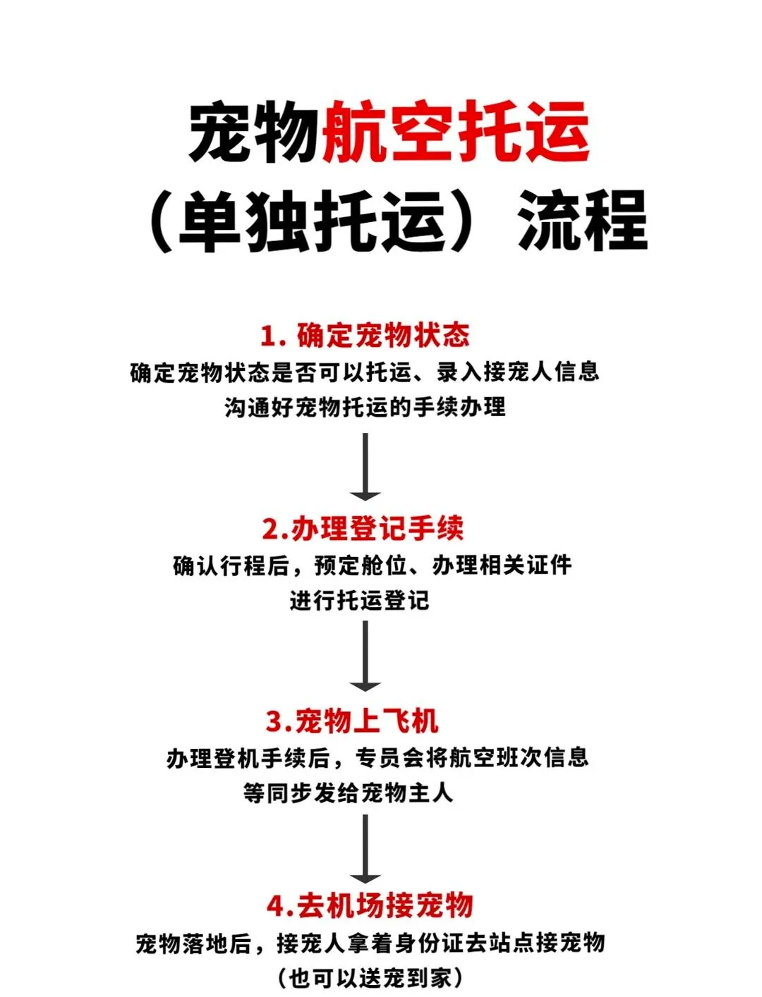 航空托运宠物多久到 航空托运 宠物
