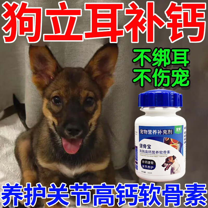 宠物补钙怎么补 宠物补钙的好处