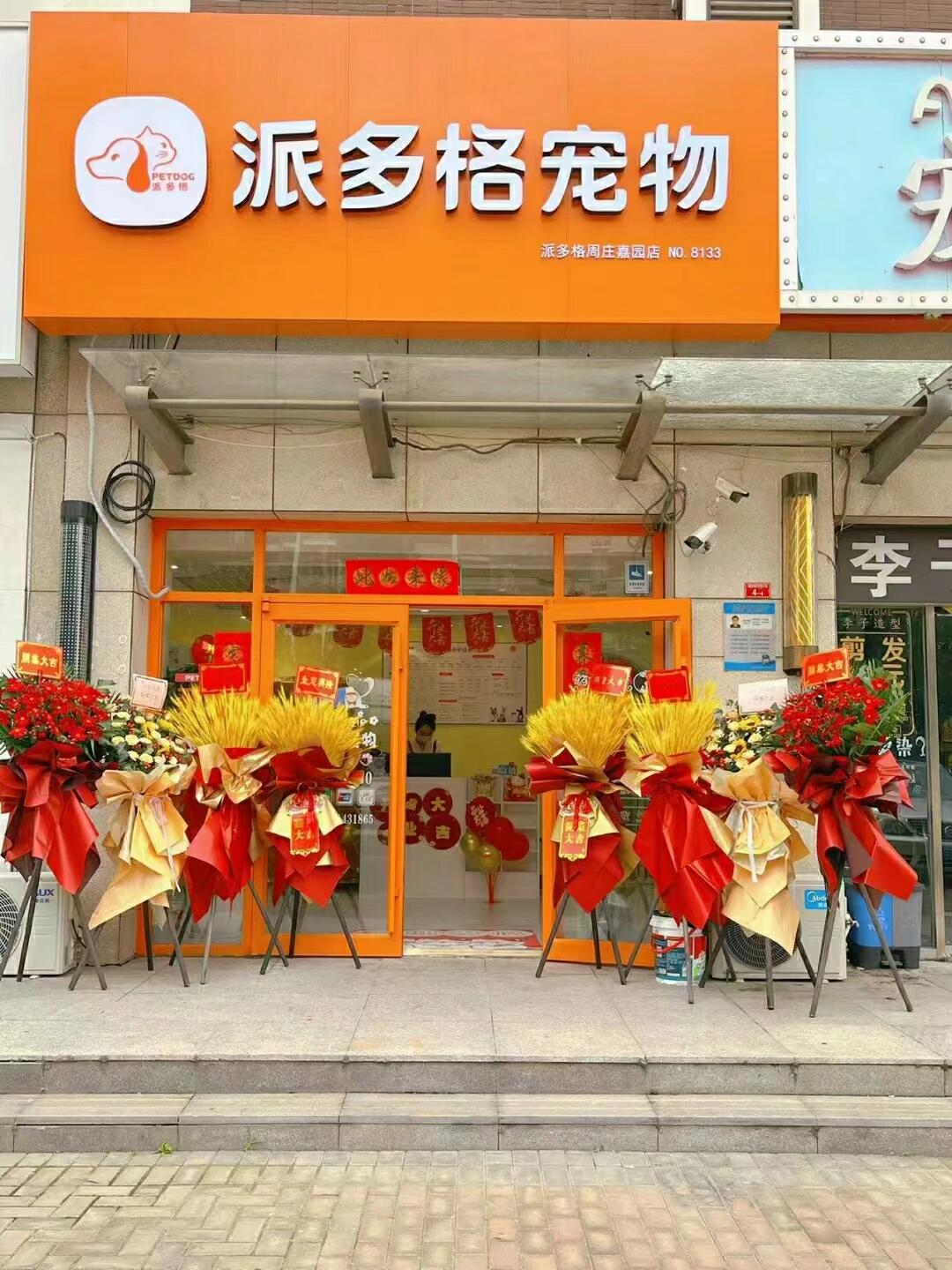 派多格宠物画 派多格宠物logo