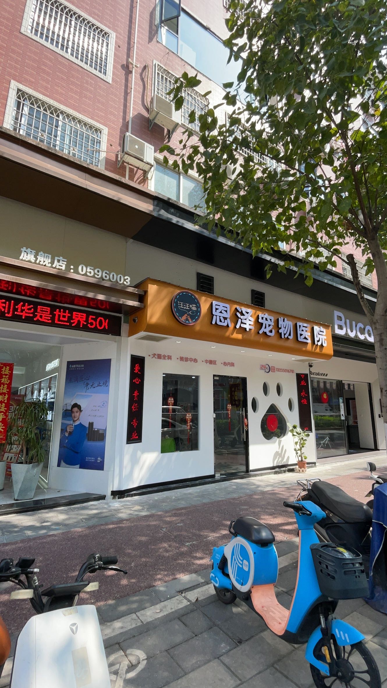 宠物医疗公司 宠物医疗公司济南经十路与奥体中路