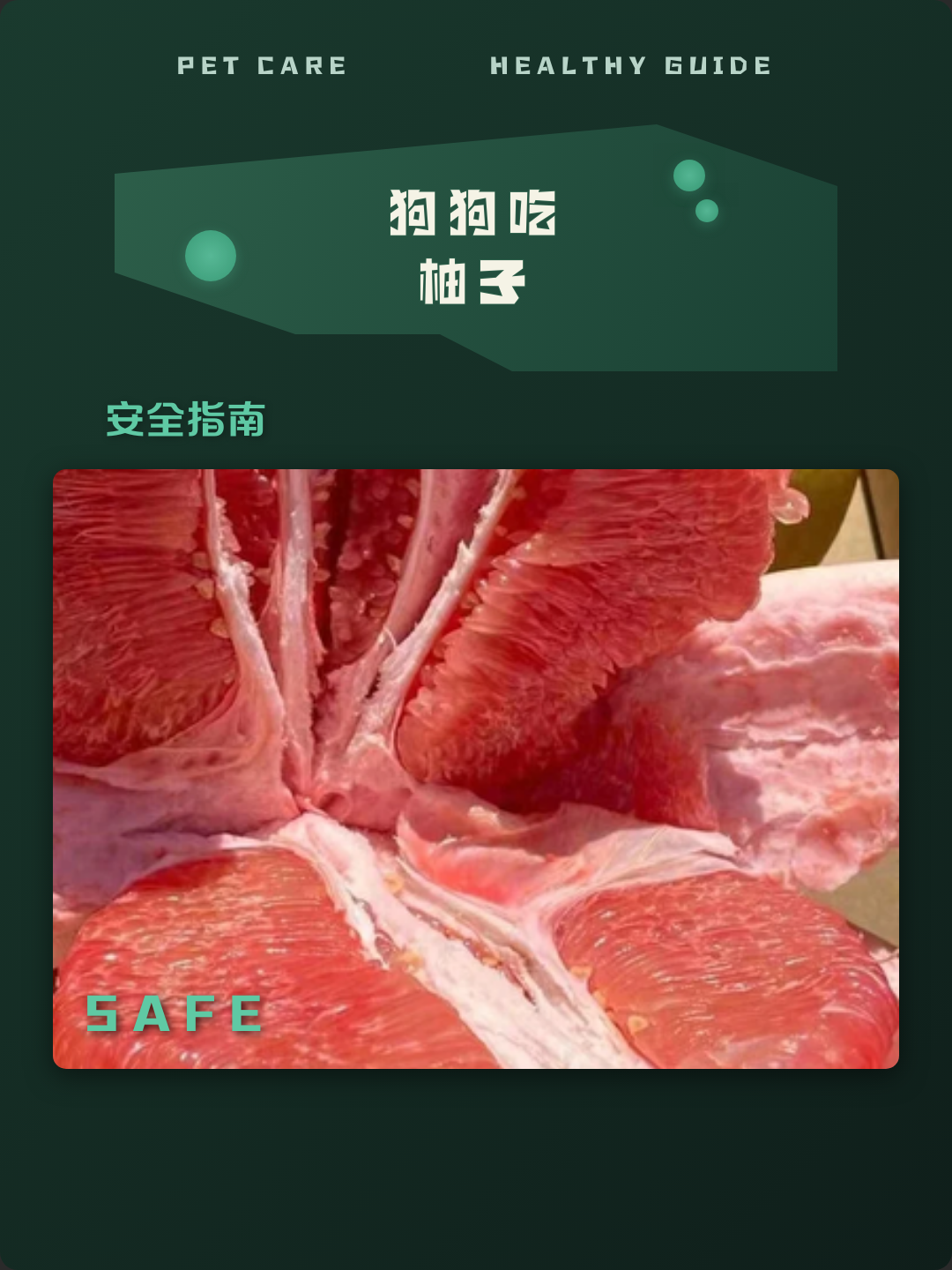 狗狗能不能吃柚子 狗狗能不能吃柚子里面的白肉