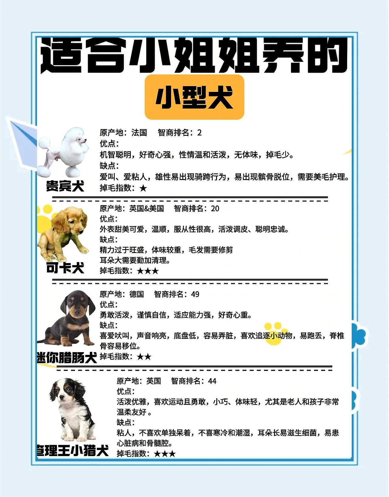 宠物业概述 宠物物业