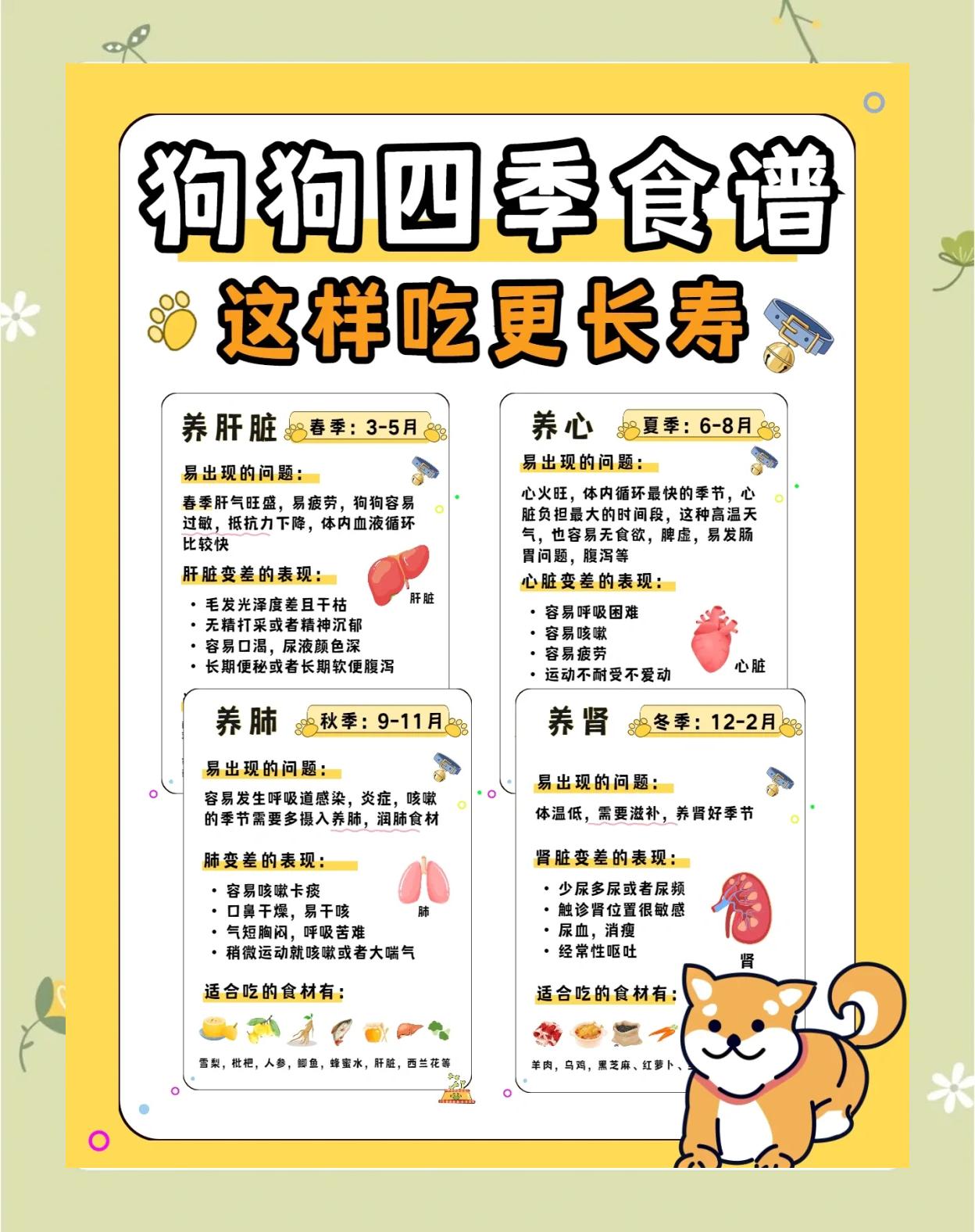 狗能吃虾皮吗 狗能吃虾皮嘛