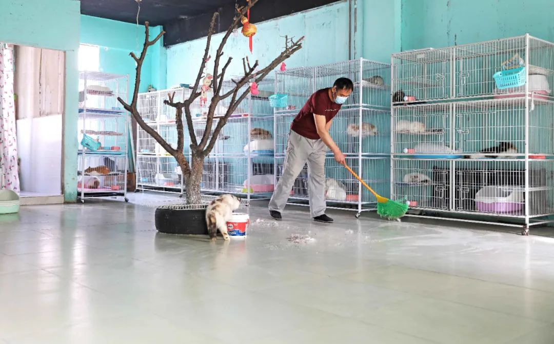 辽宁阜新的宠物店 辽宁阜新的宠物店哪家好