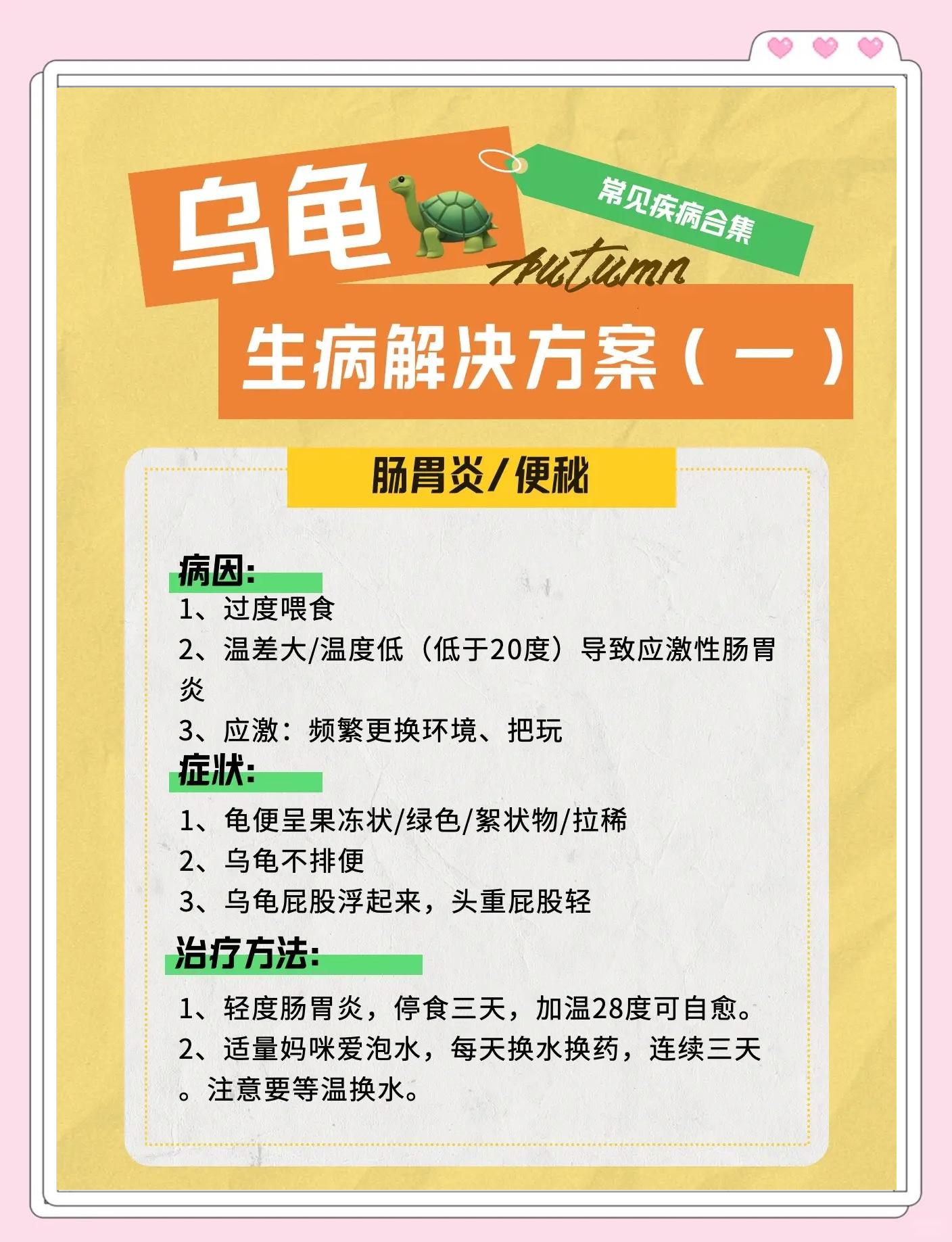 龟苗怎么过冬 龟苗过冬水温多少合适