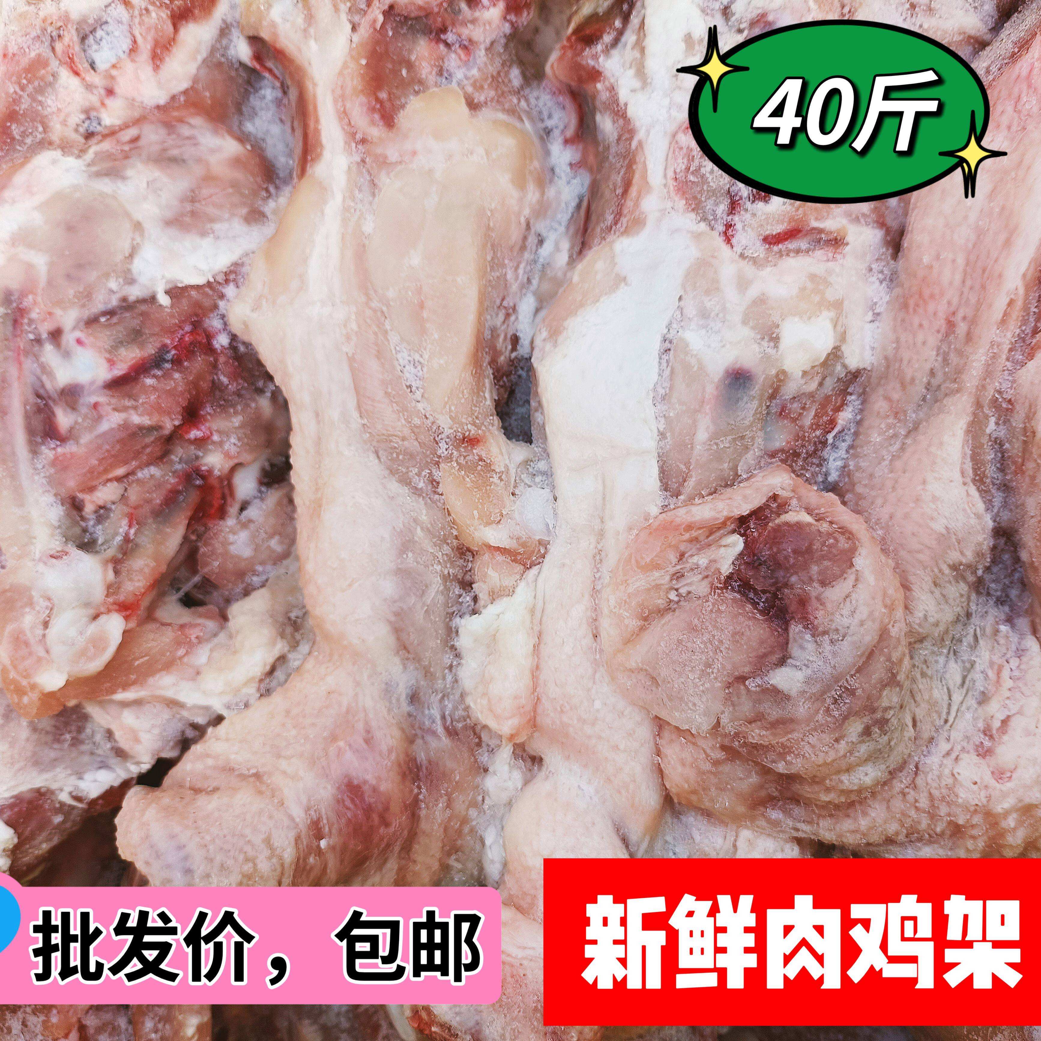 肉食的宠物 肉食宠物有哪些