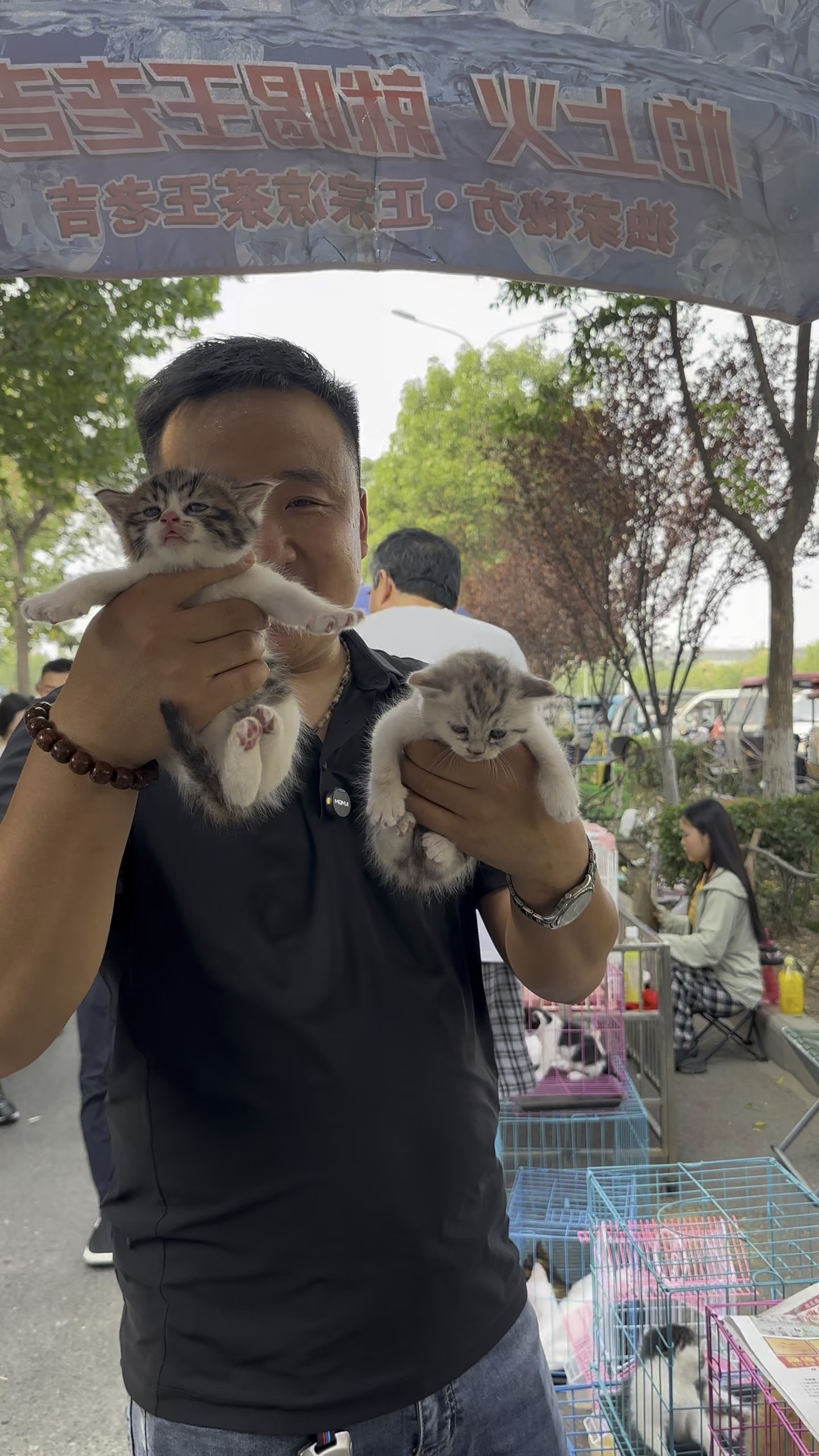 西宁卖宠物 西宁卖宠物的地方