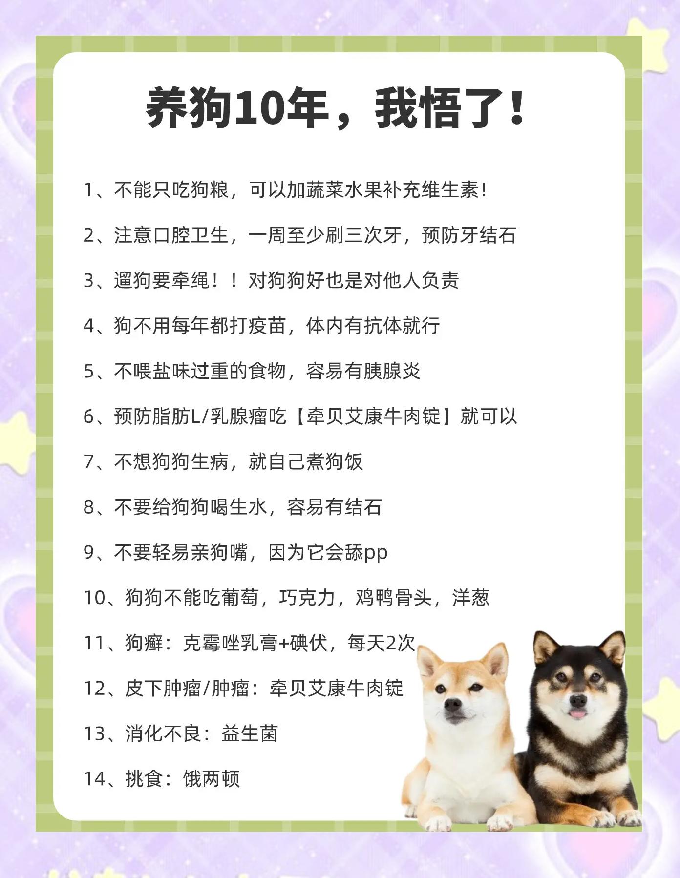 养宠物狗的坏处 养宠物狗有危险吗