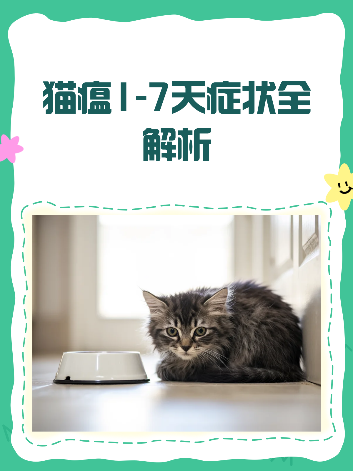 猫后腿无力是猫瘟 猫后腿无力是猫瘟的症状吗