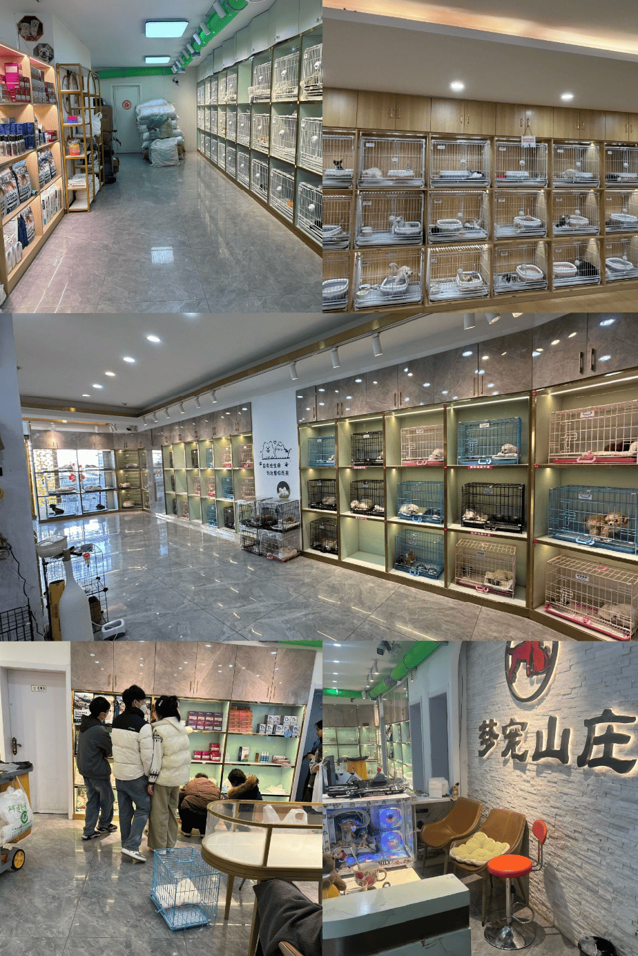 合肥的宠物市场 合肥宠物市场一条街
