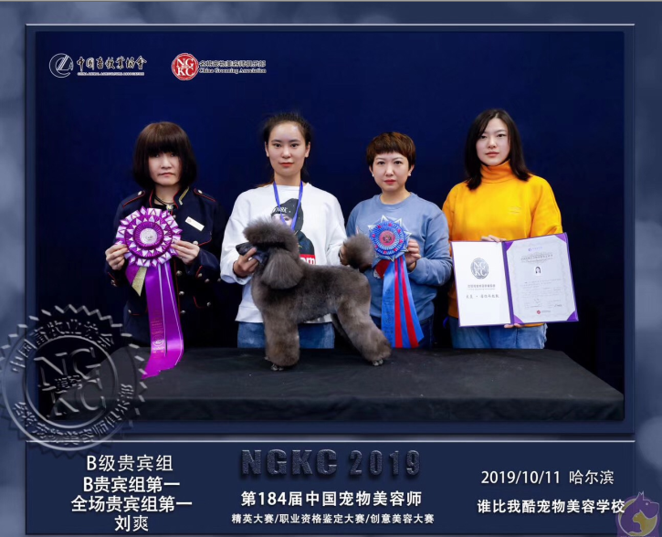 台湾宠物美容认证 台湾宠物美容认证公司