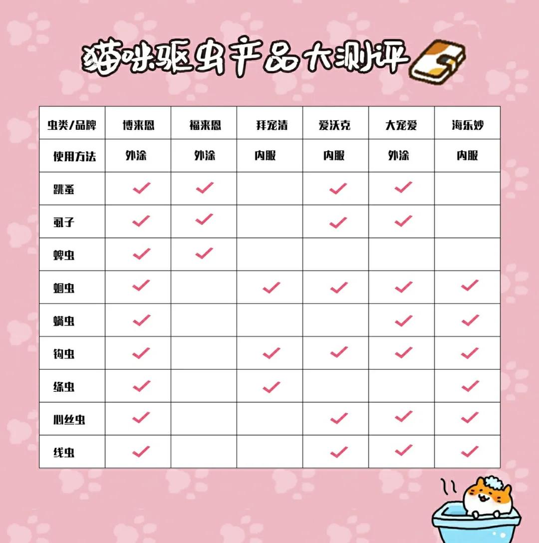 猫咪驱虫多少钱 猫咪驱虫多少钱一次合适啊