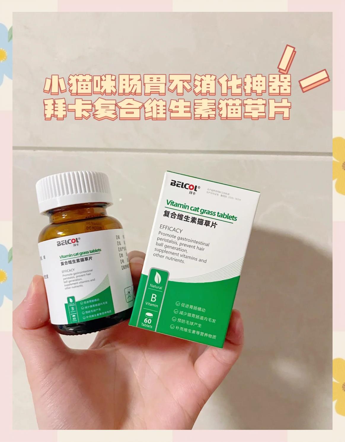 消化酶宠物 消化酶治什么的