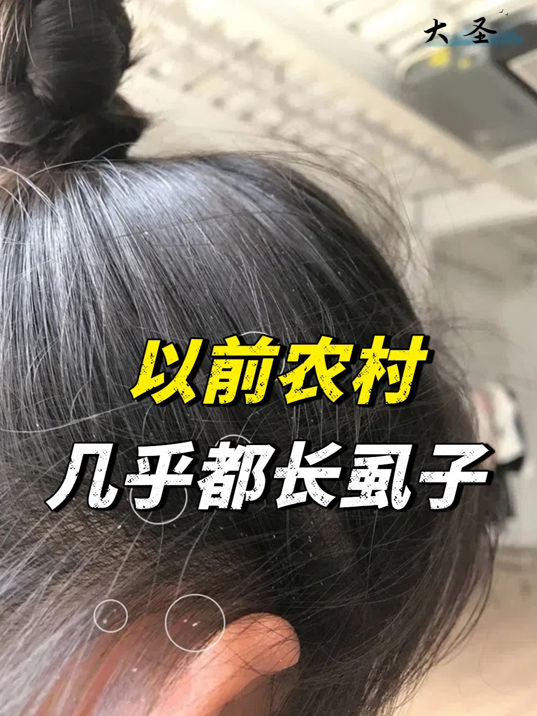 牛虱子图片 牛虱子图片与功能