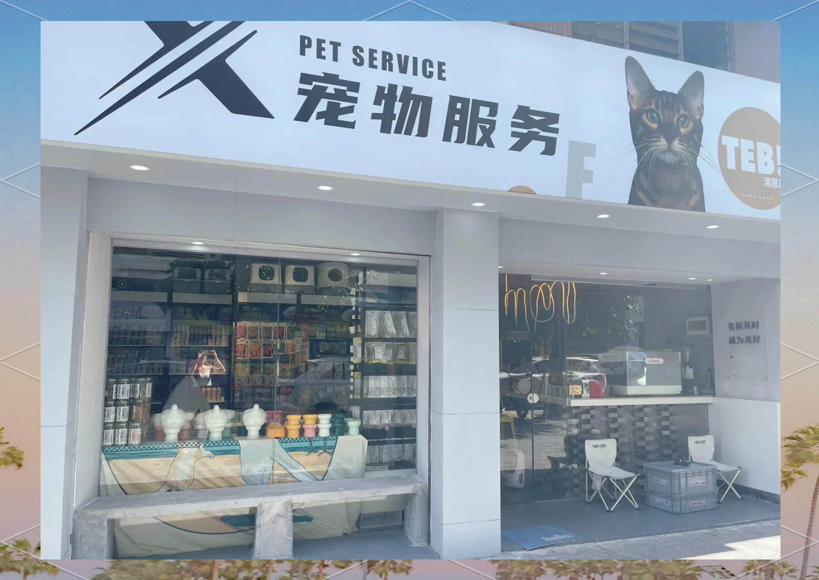 理想宠物店 我的理想开宠物店作文