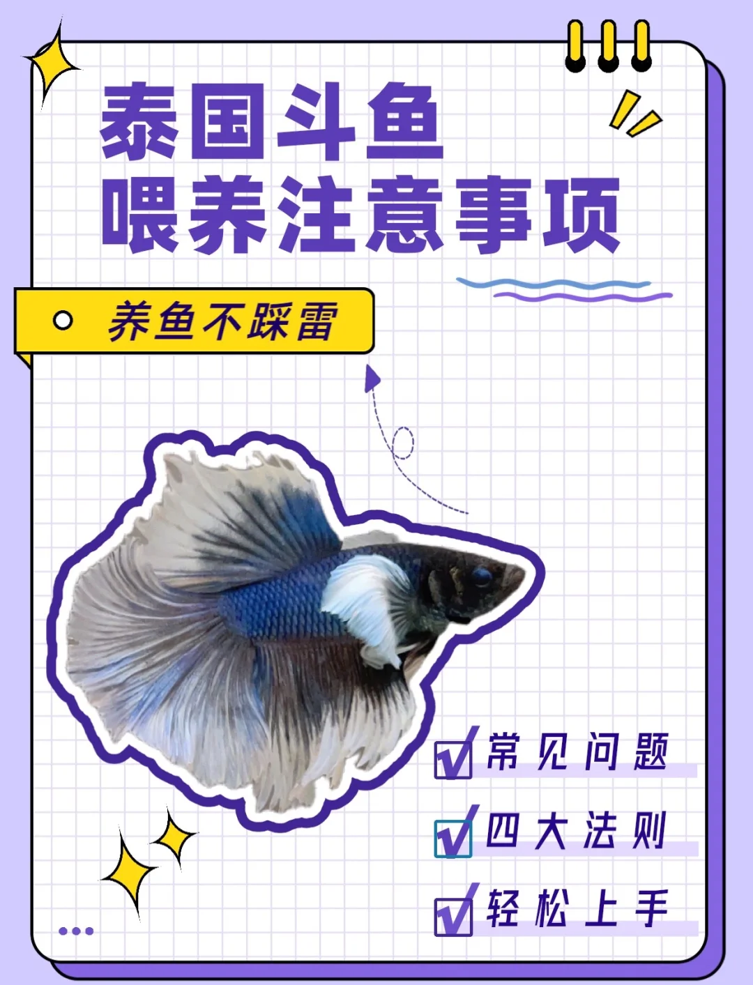 斗鱼需要打氧吗 斗鱼需不需要打氧气