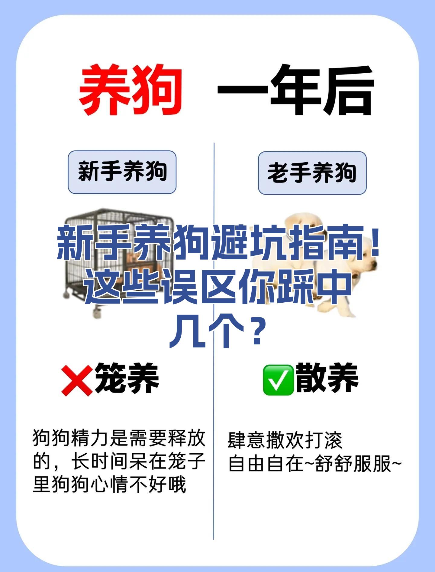 宠物狗误区 宠物狗有毒吗