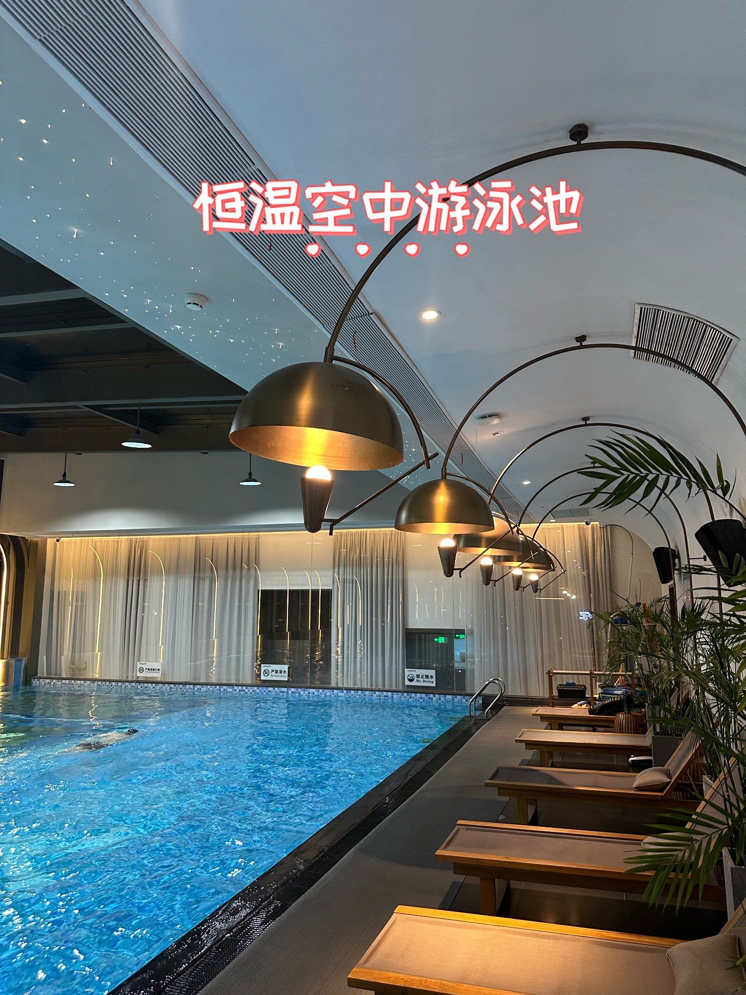温州宠物游泳池 温州宠物游泳池有哪些