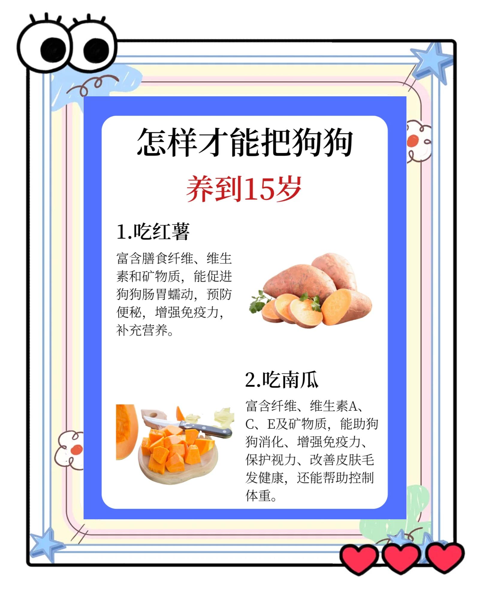 宠物狗能吃香蕉吗 宠物狗能吃香蕉吗为什么