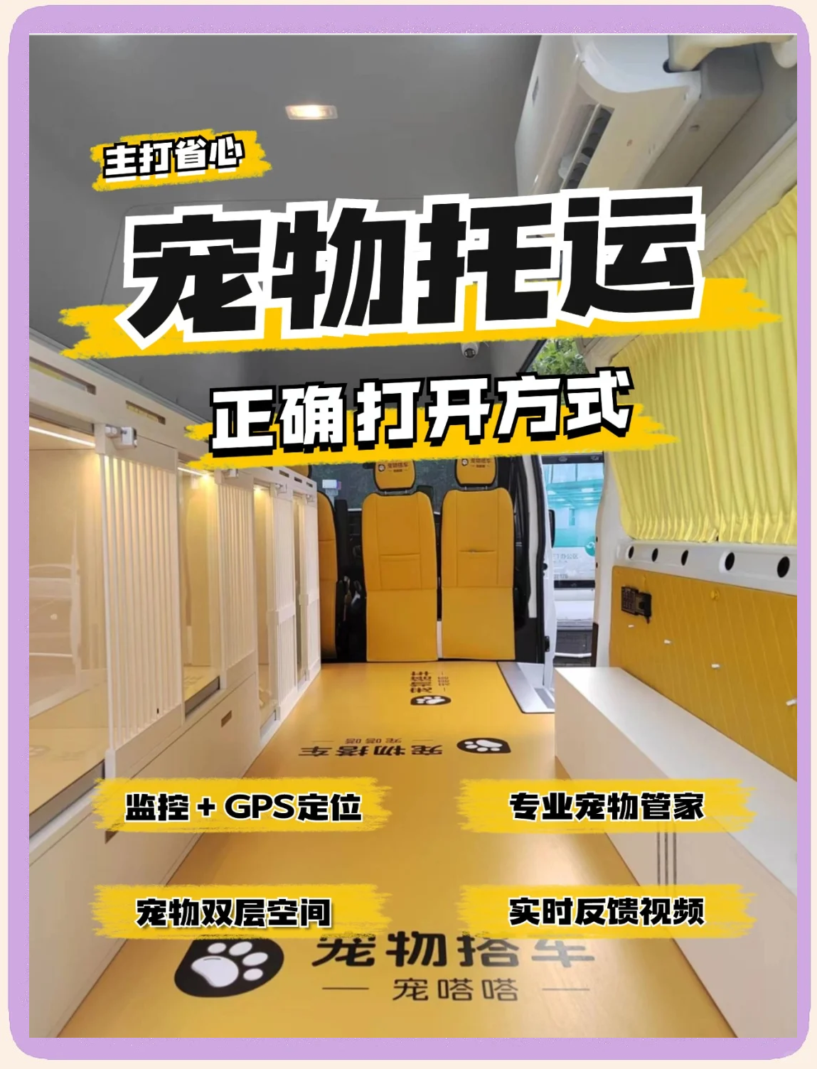 宠物托运多少钱 宠物托运多少钱飞机