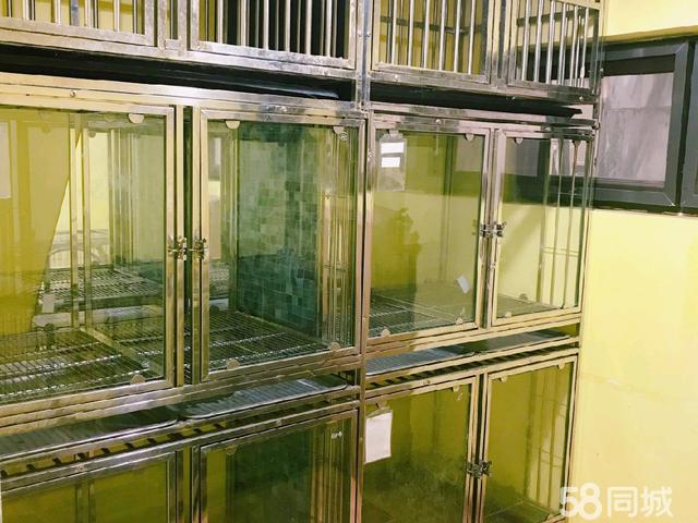 昌平宠物店电话 昌平宠物医院24小时营业