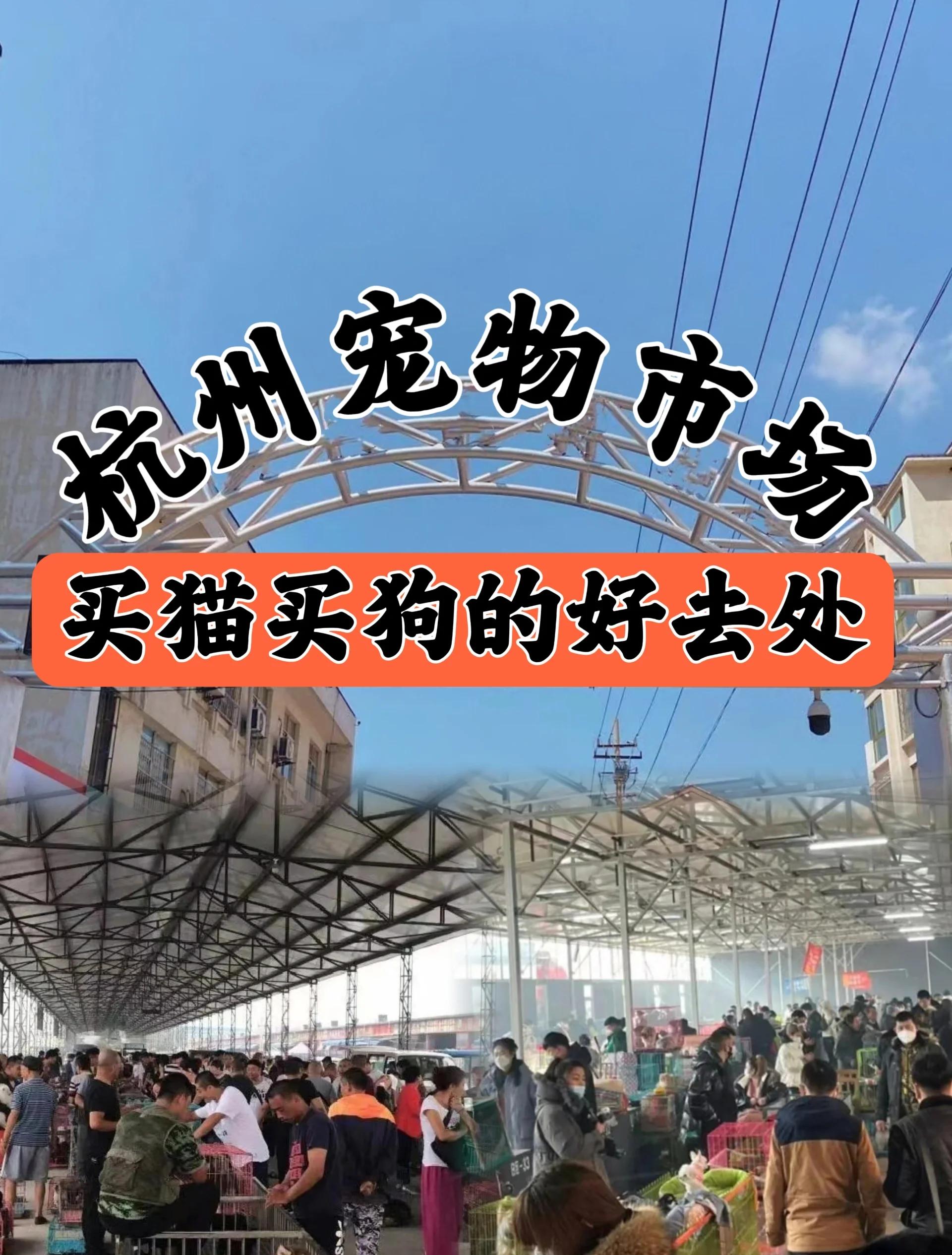 西城官园宠物市场 北京官园宠物市场电话