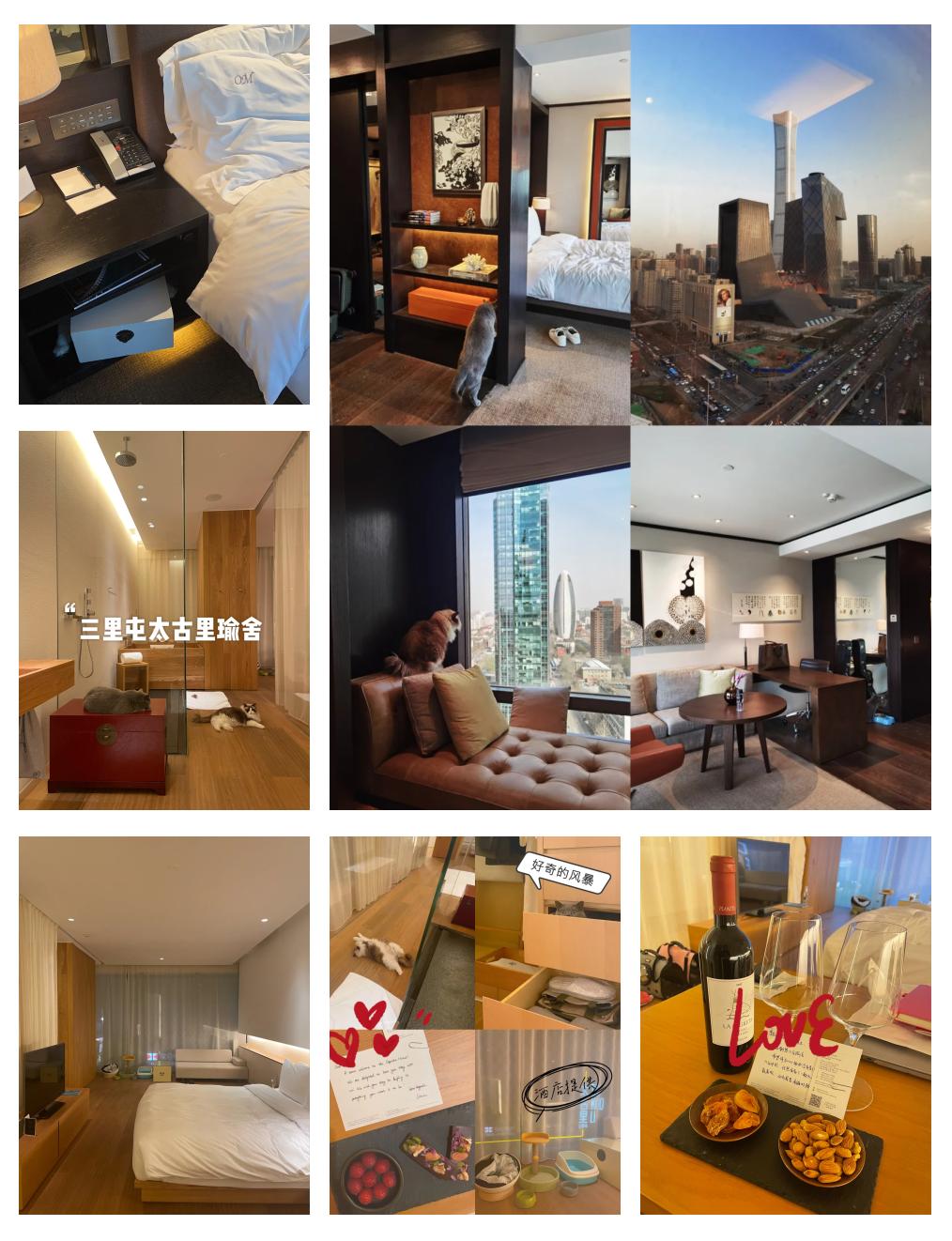 北京能带宠物的酒店 北京能带宠物的酒店有几家