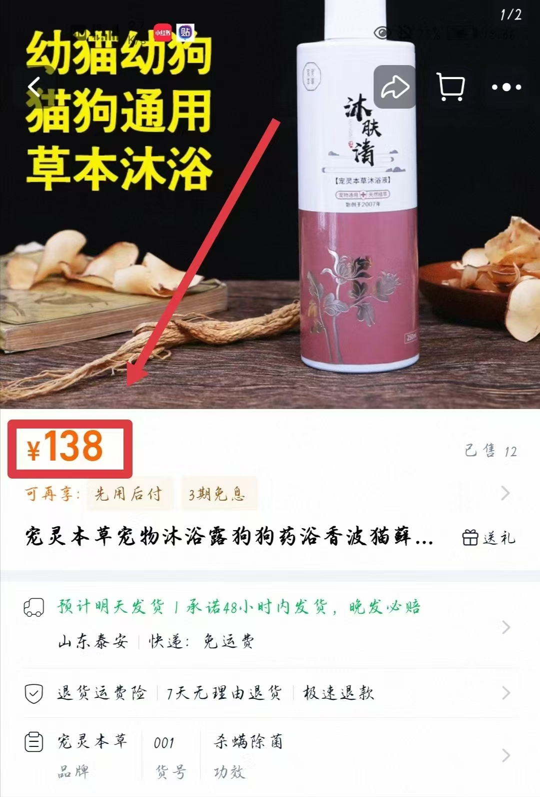 宠物药浴怎么做 宠物药浴是泡在水里吗