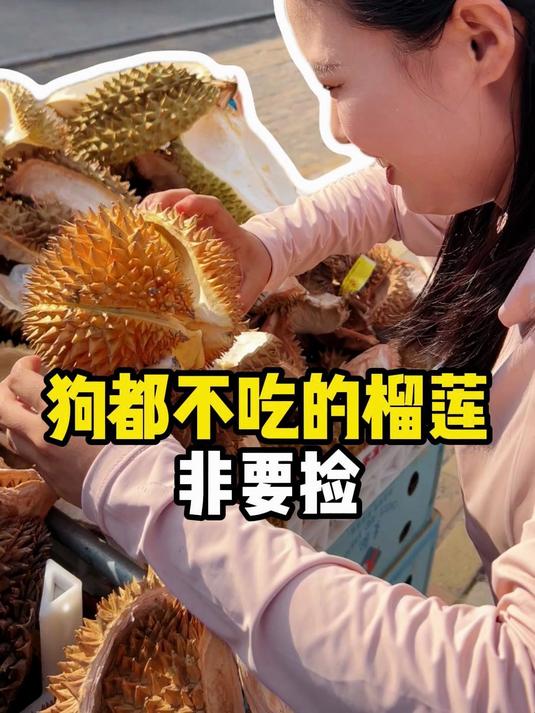 狗能不能吃榴莲 狗能不能吃榴莲核