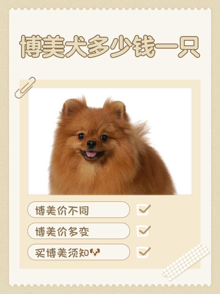 宠物狗报价及图片大全 宠物狗狗品种大全及图片