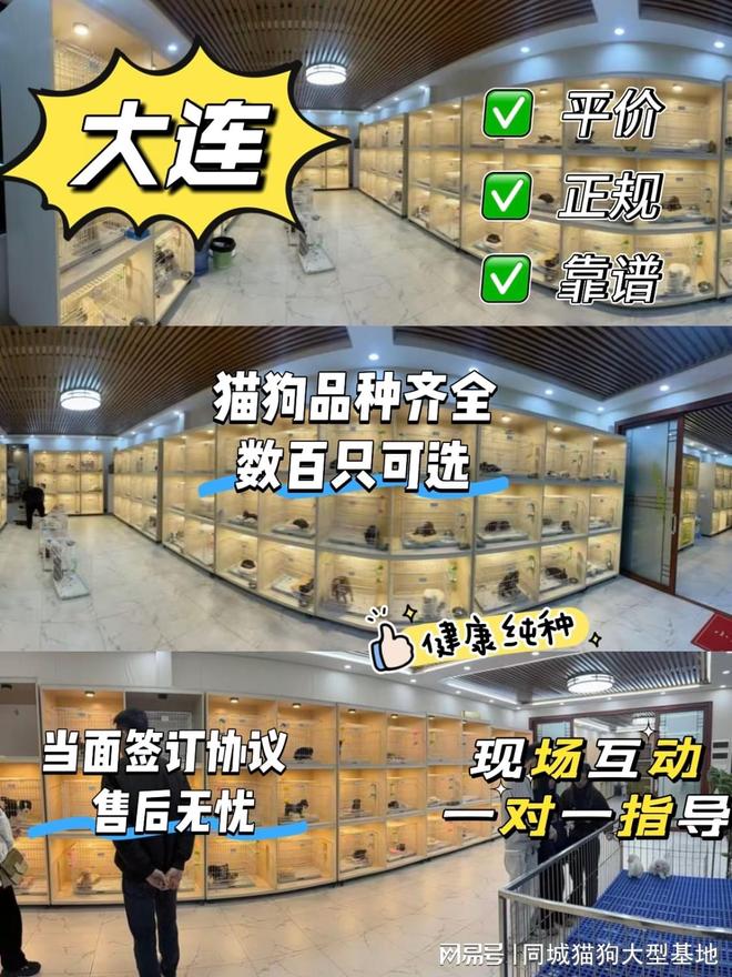 宠物店宠物来源 宠物店宠物来源是什么