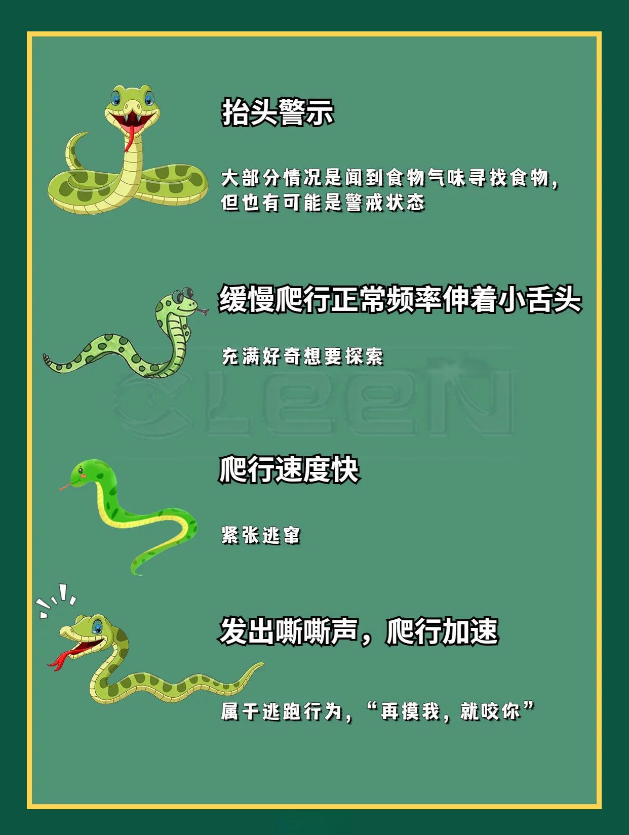 蛇最怕什么 蛇最怕什么动物