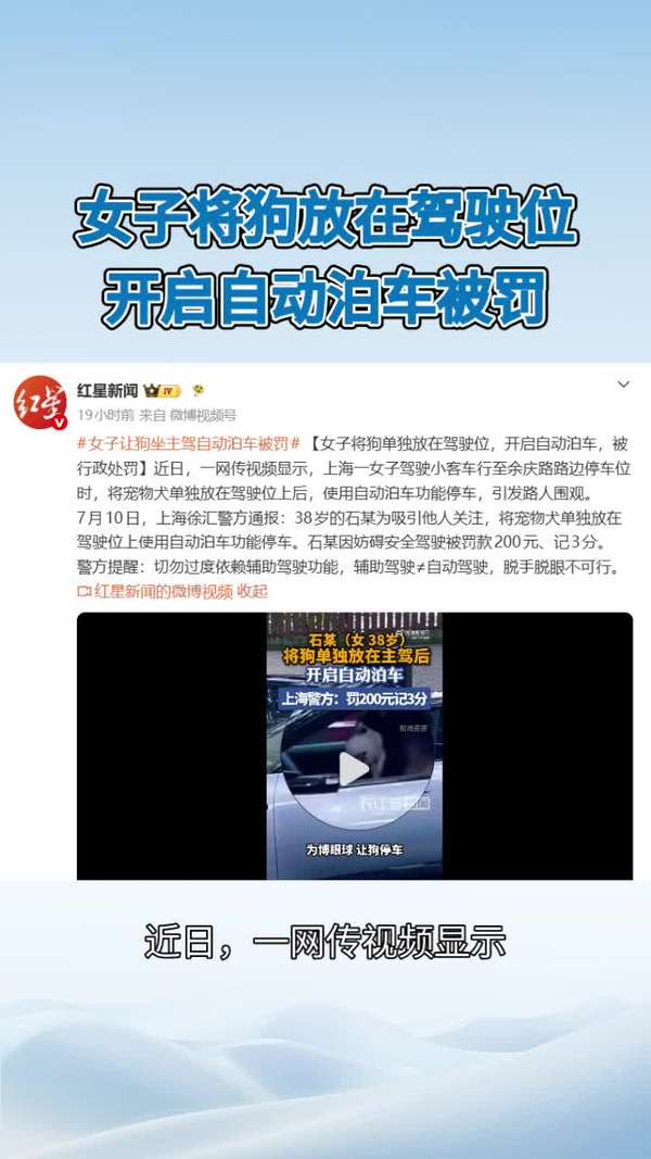 带宠物开车会给罚款吗 携带宠物开车会被罚款吗
