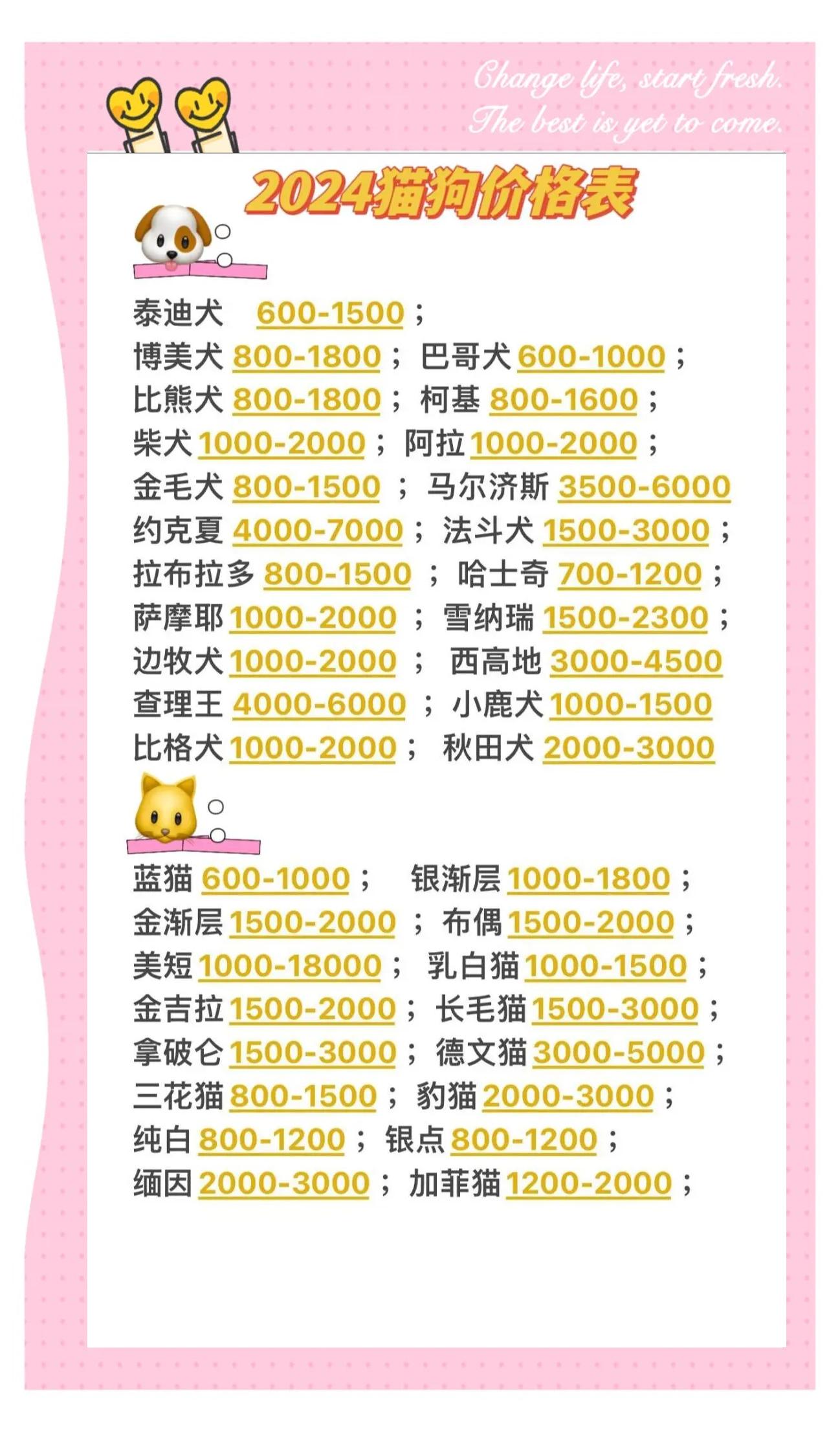 宠物市场的狗能买吗 宠物市场买的狗 可靠吗