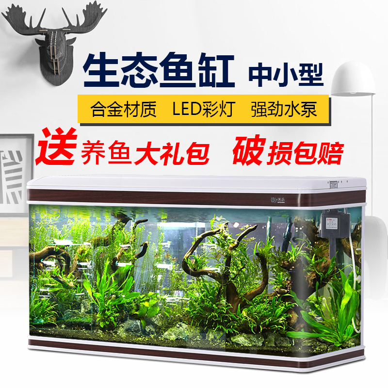 鱼缸养什么宠物好 鱼缸里应该养什么鱼 鱼缸养什么宠物好 鱼缸里应该养什么鱼