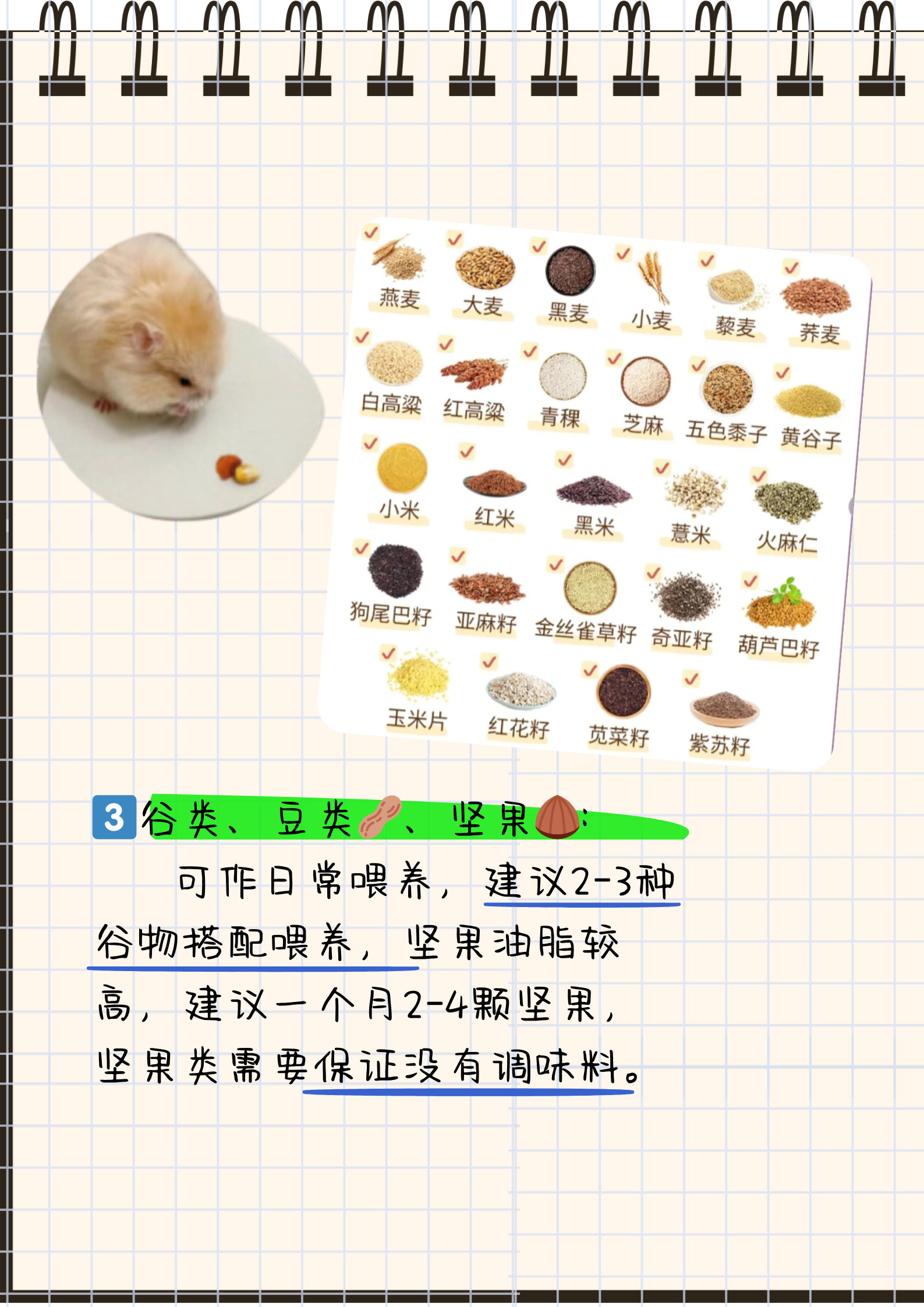 仓鼠可以喝牛奶吗 仓鼠可以喝牛奶吗为什么