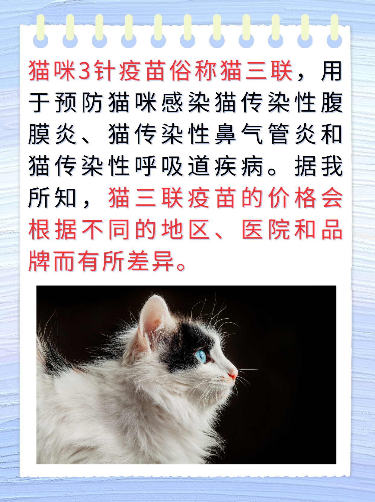 宠物猫要打几针疫苗 宠物猫要打几针狂犬疫苗