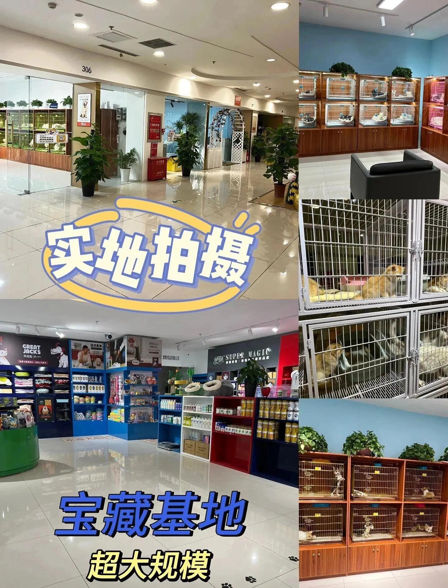 南京最大的宠物狗市场 南京最大的宠物狗市场在哪