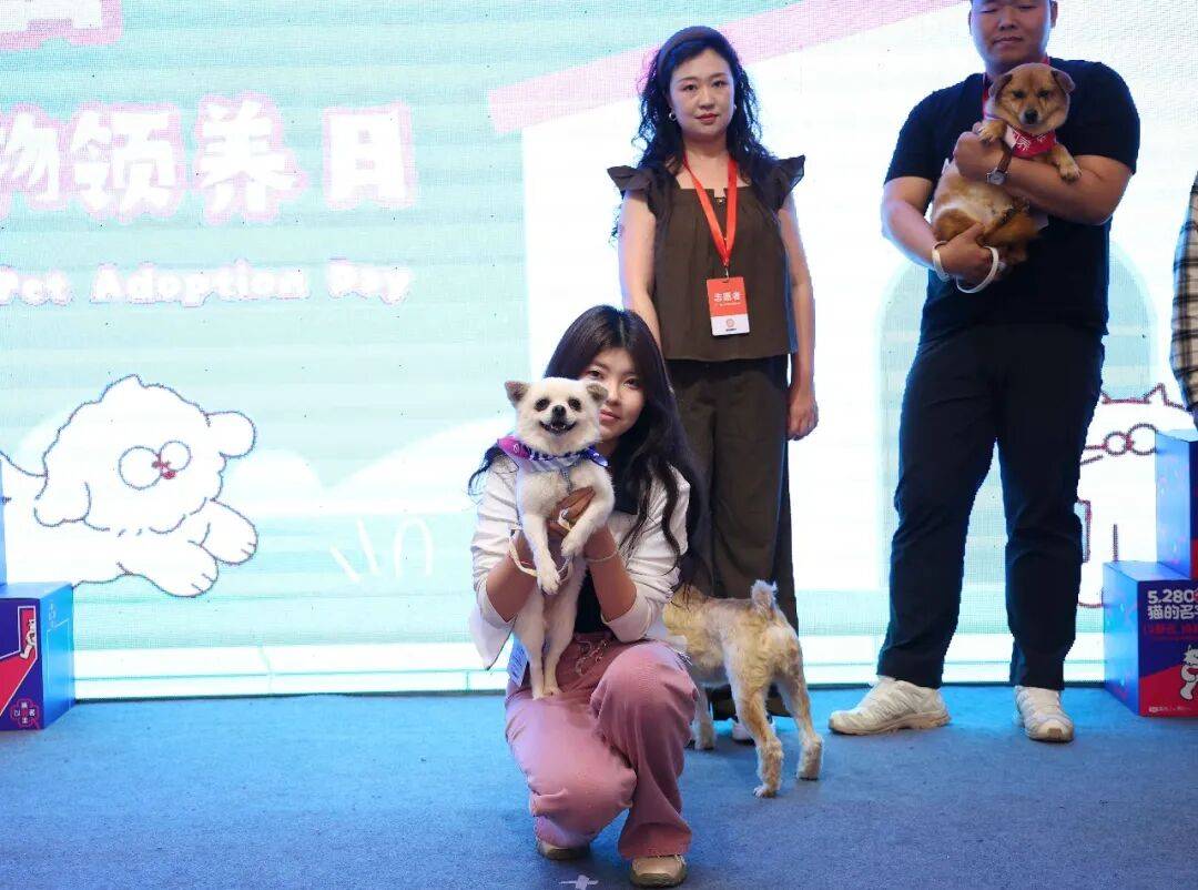 领养的宠物会好养么 领养的宠物会好养么吗