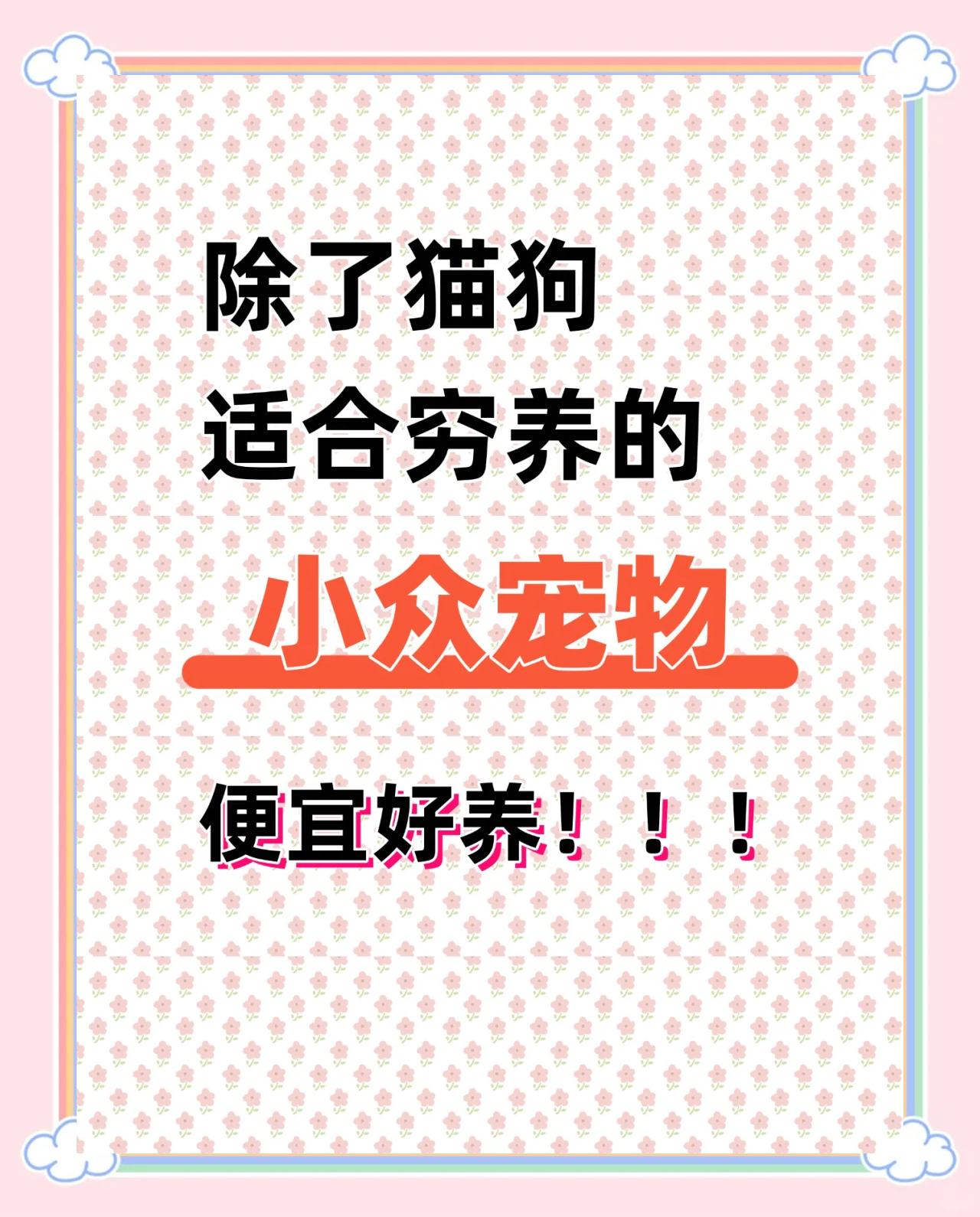 骗局给宠物 网购宠物骗局