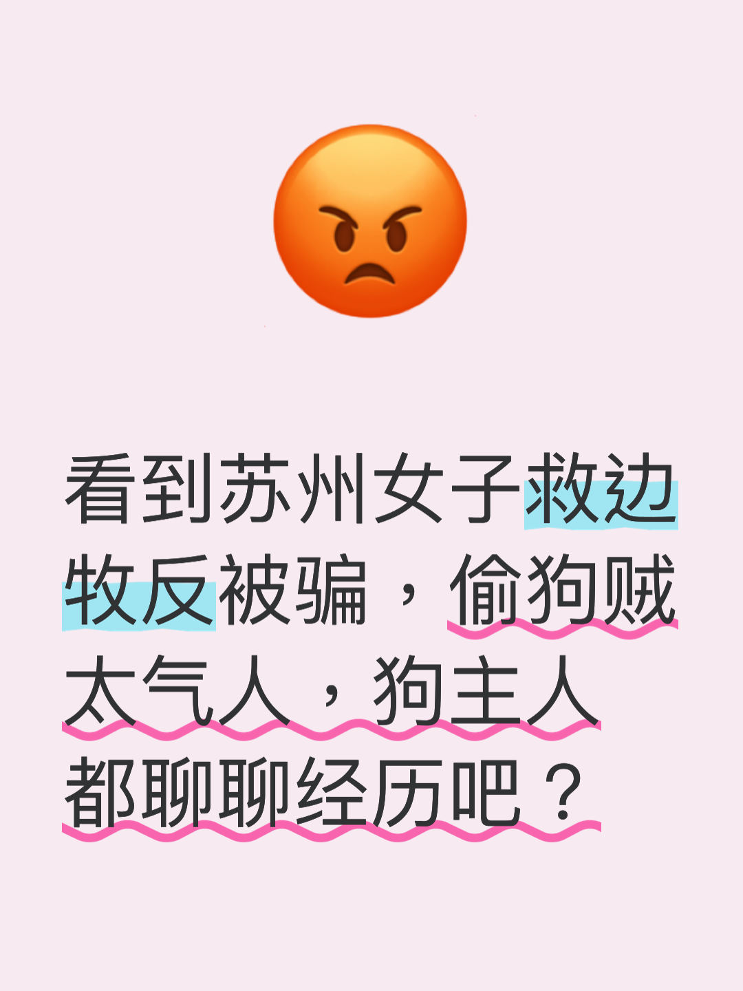 骗局给宠物 网购宠物骗局