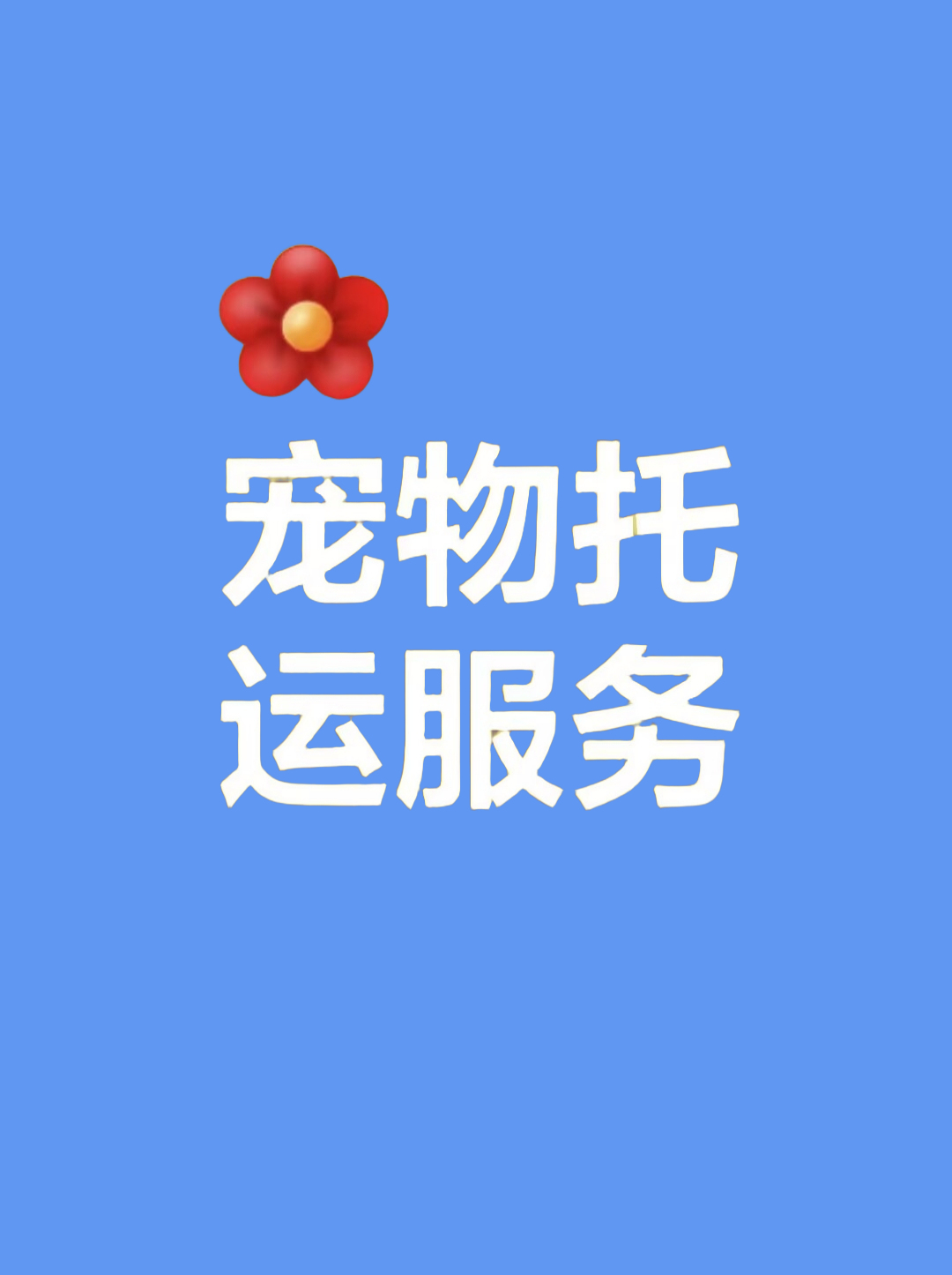宠物托运网站 宠物托运平台知乎