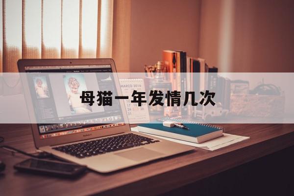 母猫一年发情几次 母猫一年发情期多久